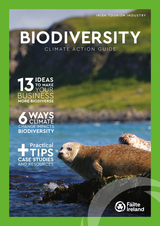 Biodiversity guide cover with an image of a seal on a rock.