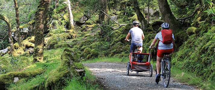 A family cycling through a forest, the father has a little wagon behind his bike for his child