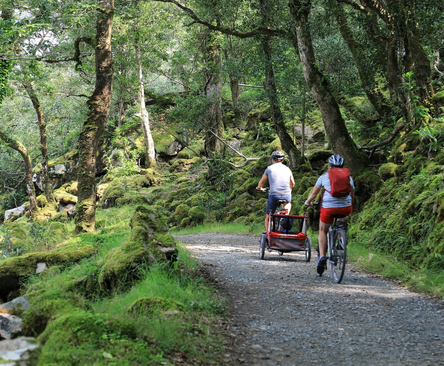Couple cycling through the forest